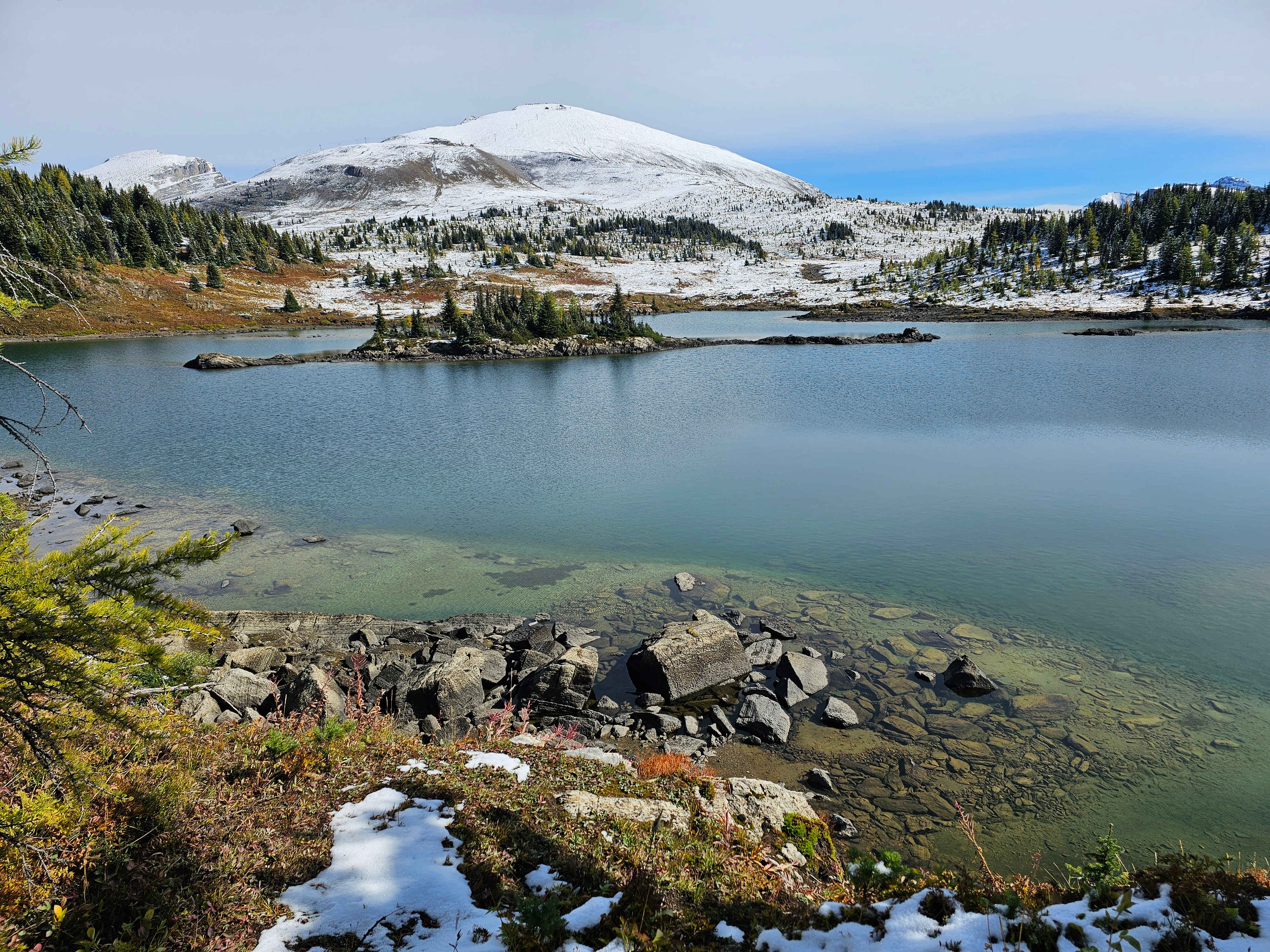 Sunshine Meadows